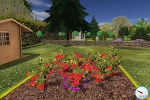 花园模拟2010 硬盘版