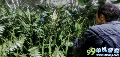 风景秀丽的丛林 《孤岛危机2》引擎一周MOD美图