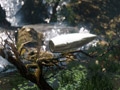 《狙击手：幽灵战士2》E3展Demo详细演示