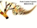 蟑螂进化 中文硬盘版