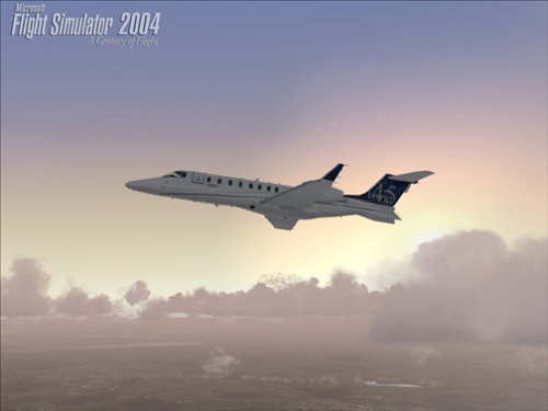 模拟飞行2004硬盘版