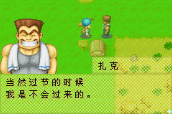 牧场物语：矿镇的朋友 中文版