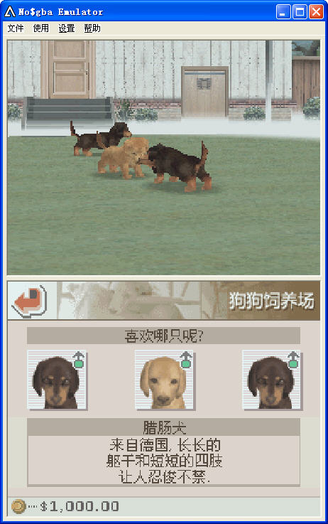 任天狗：腊肠犬和伙伴 中文版