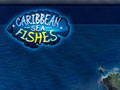 加勒比海之鱼
