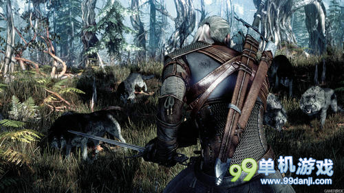 《巫师3》VGX2013先行预告 白狼的奇幻漂流