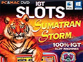 IGT游戏机：苏门答腊风暴