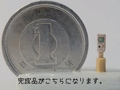 全球最小掌机诞生 日本DIY大师用牙签打造
