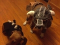 有爱玩家为狗狗打造《上古5：天际》龙裔套装